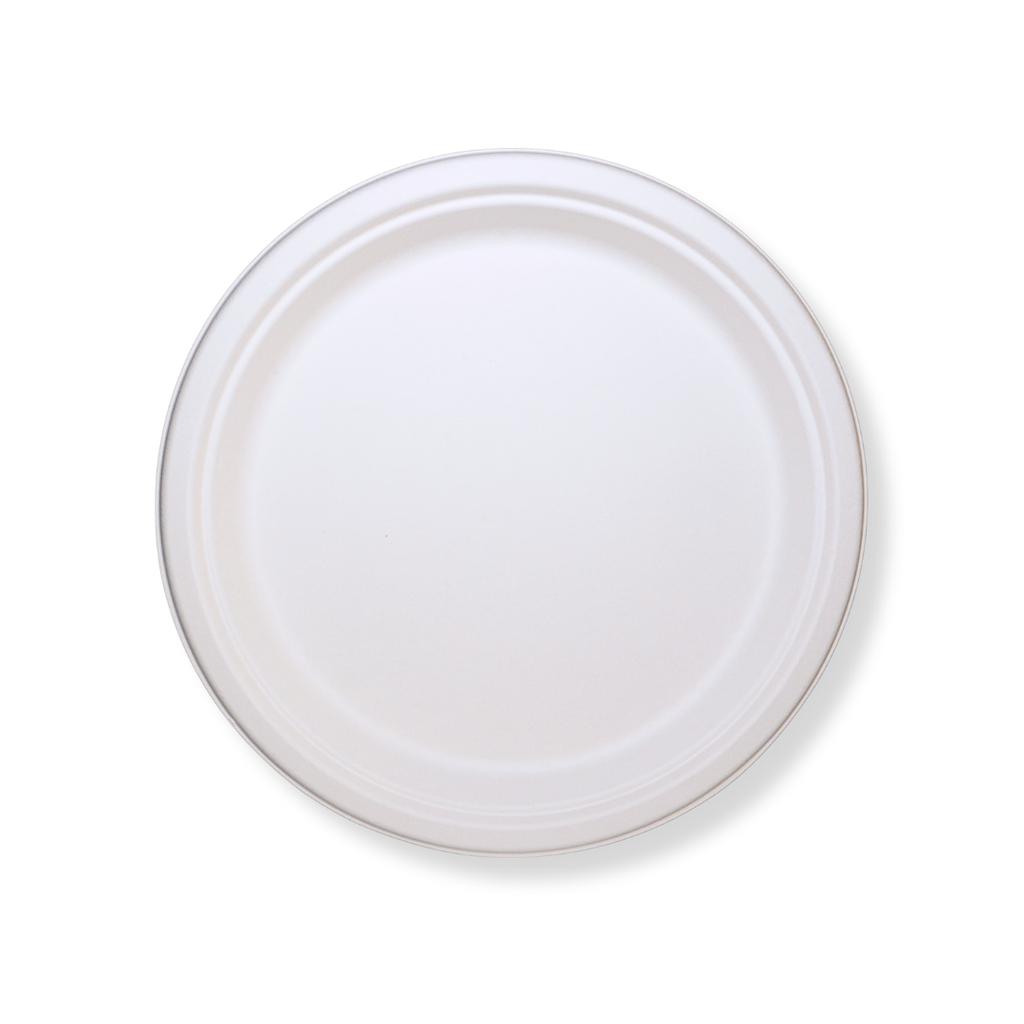 DEP-10PLATE-WHITE-CASE of 4-500 pcs